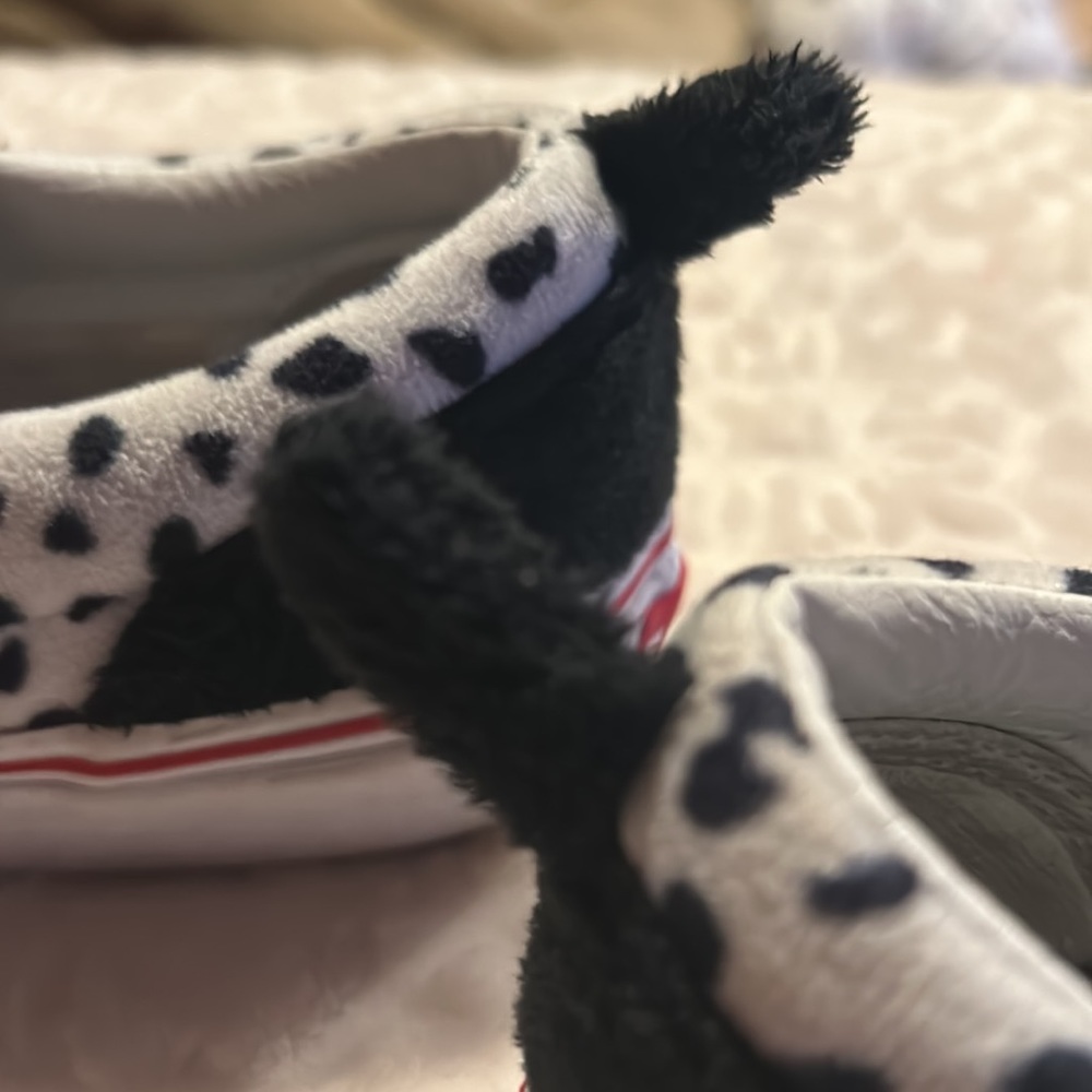 Vans - Picture 7 of 7